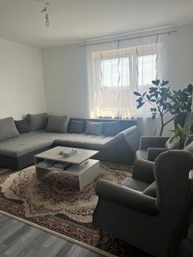 Helle Wohnung In Linzer-Mitte Экстерьер фото